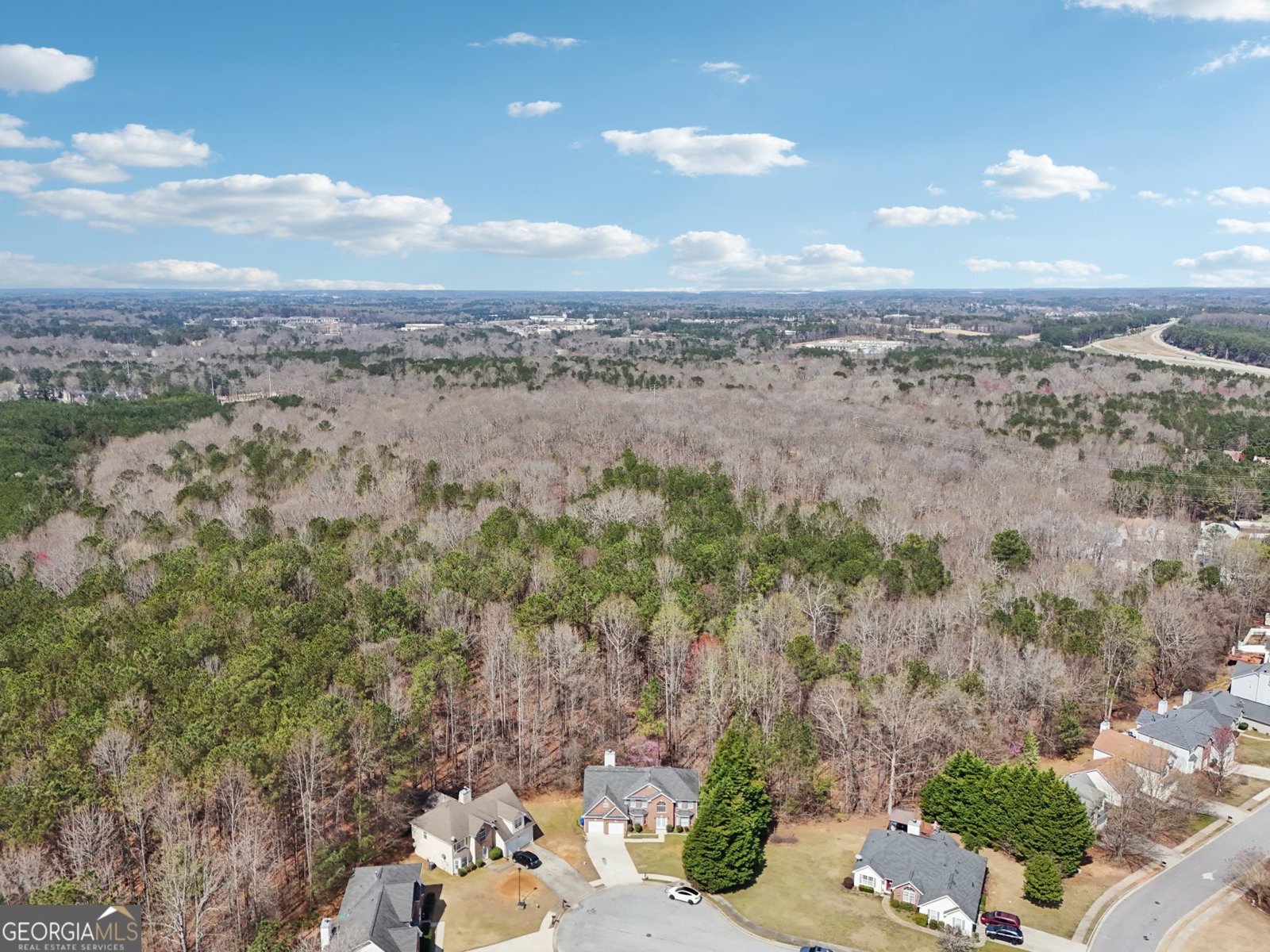 204 Eleanor Court Stockbridge - 61