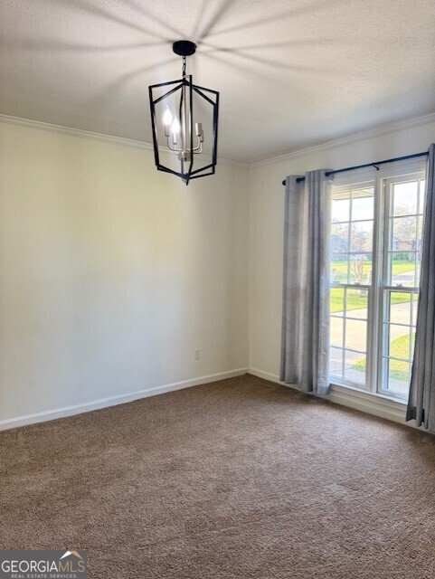 410 Redbud Road Albany - 11