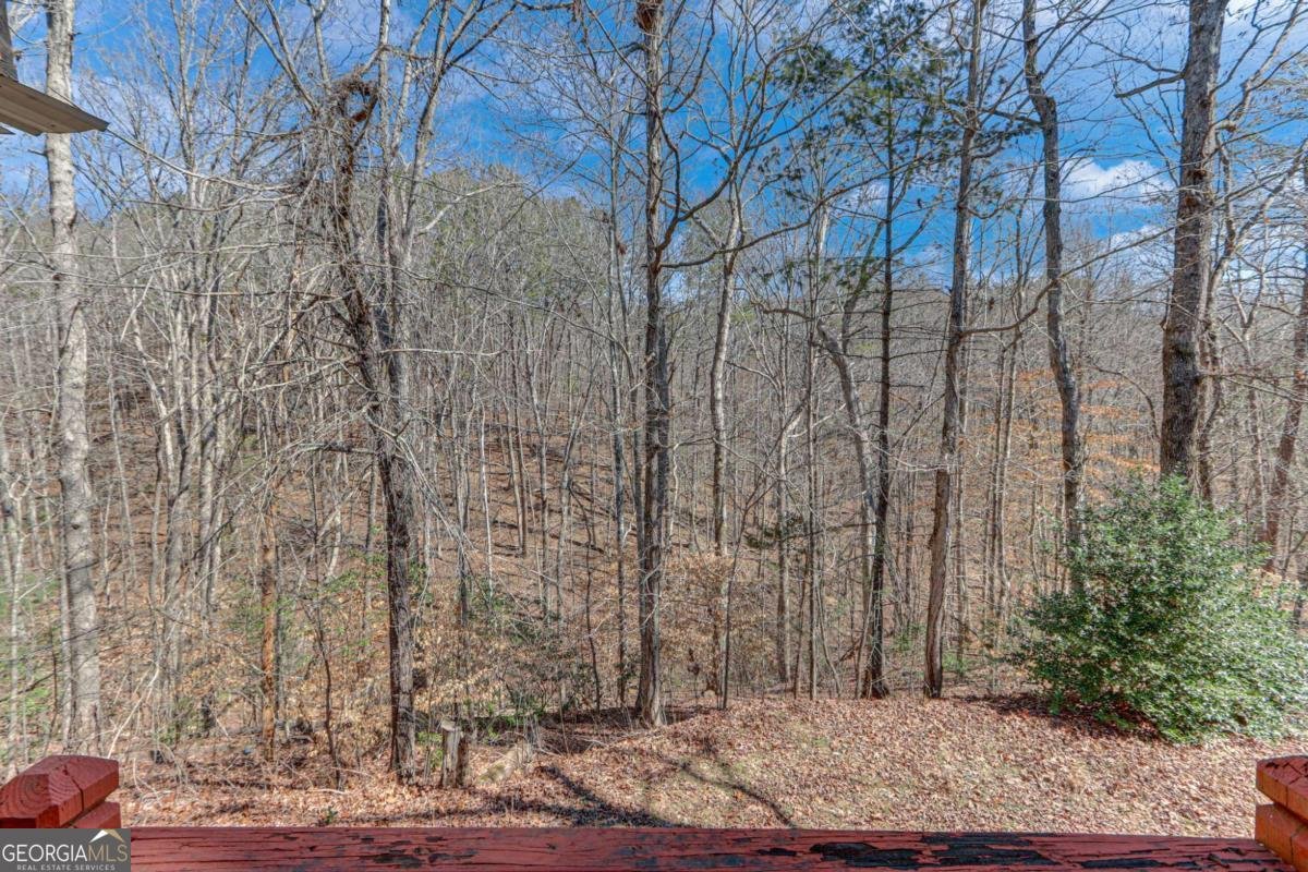 109 Givens Drive Dahlonega - 5