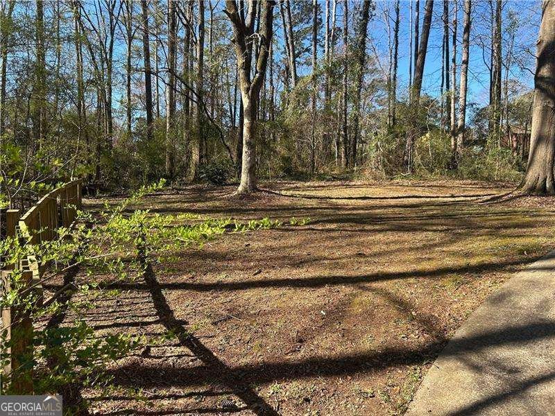 6625 Paula Court Lithonia - 14