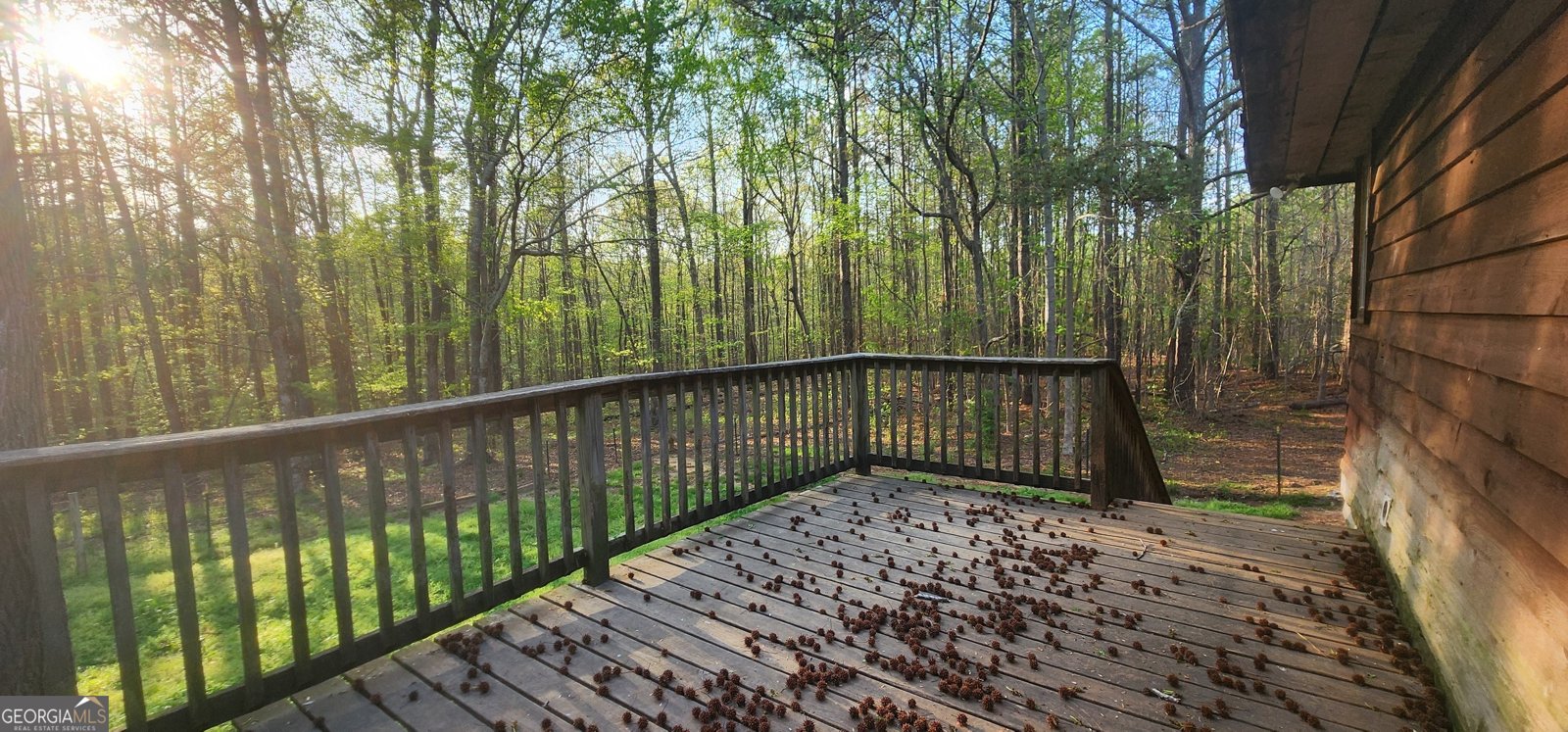 710 Hagans Mountain Road Meansville - 3