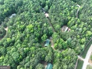 710 Hagans Mountain Road Meansville - 34