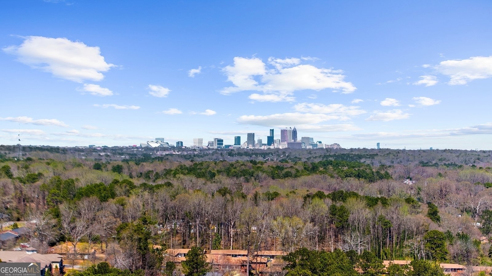 282 Oak Drive Atlanta - 37
