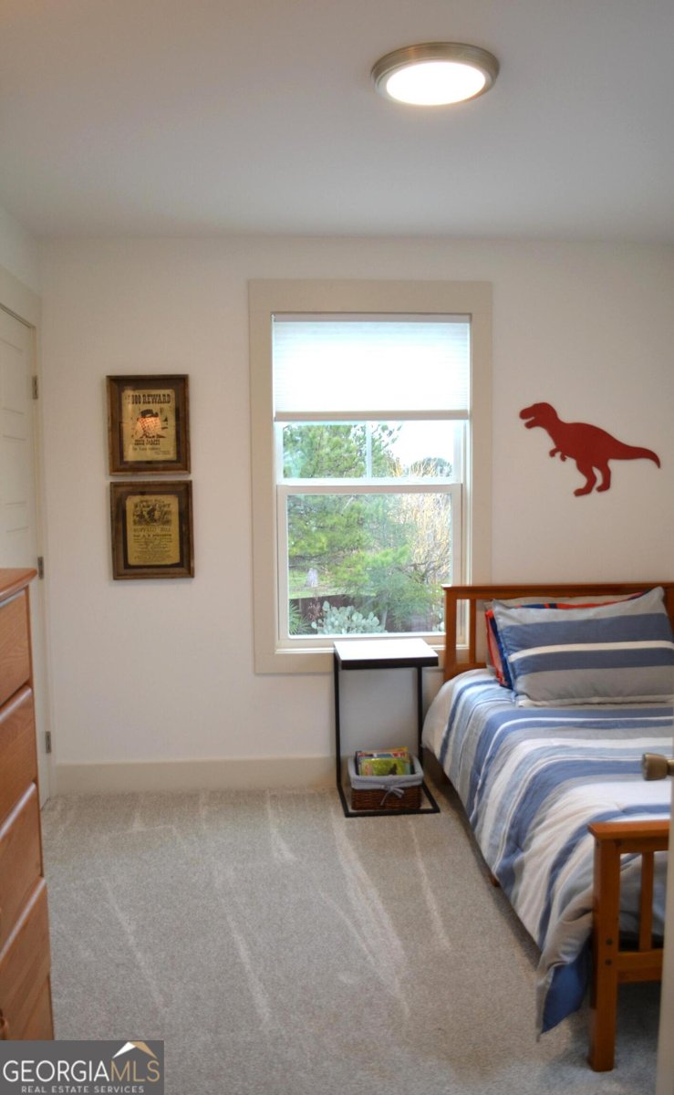 3650 Colham Ferry Road Watkinsville - 43