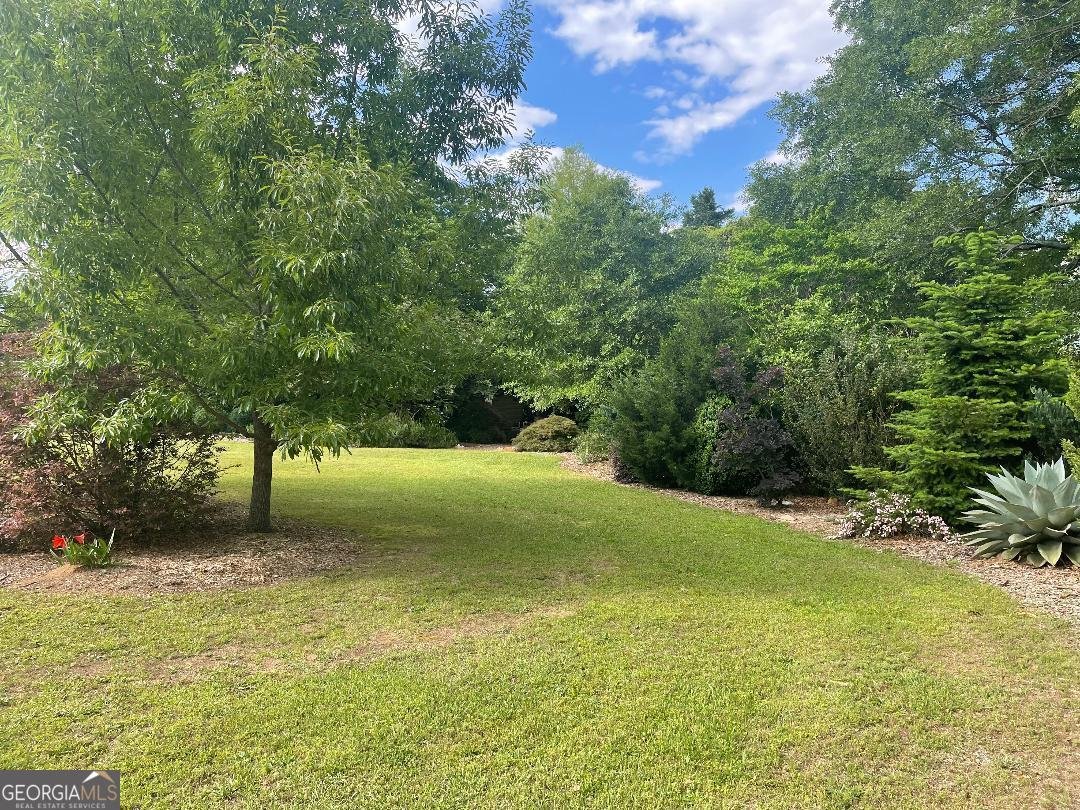 3650 Colham Ferry Road Watkinsville - 79