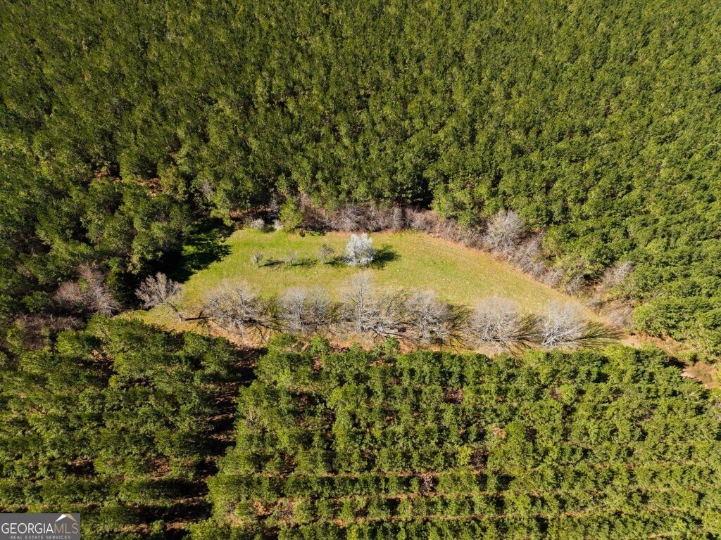 5455 Harrison Davisboro Road Davisboro - 1