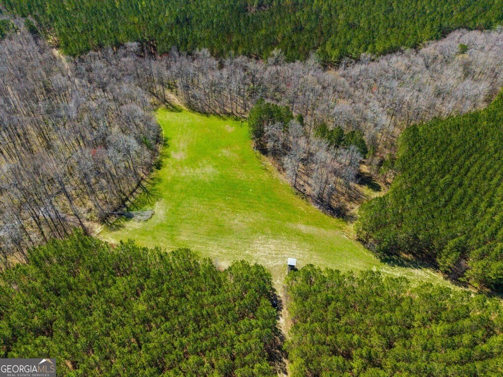 5455 Harrison Davisboro Road Davisboro - 10