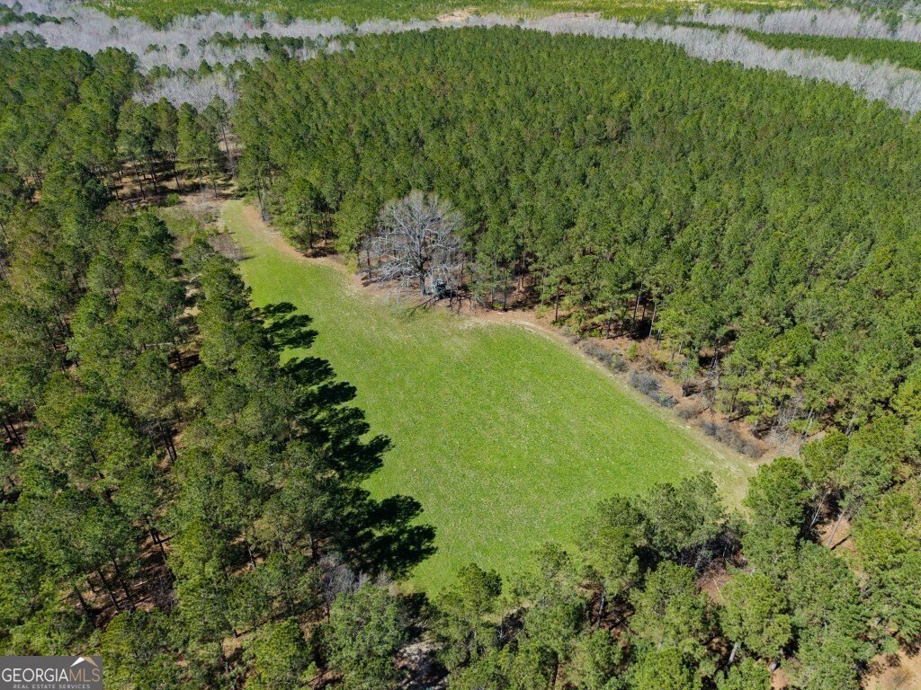 5455 Harrison Davisboro Road Davisboro - 12