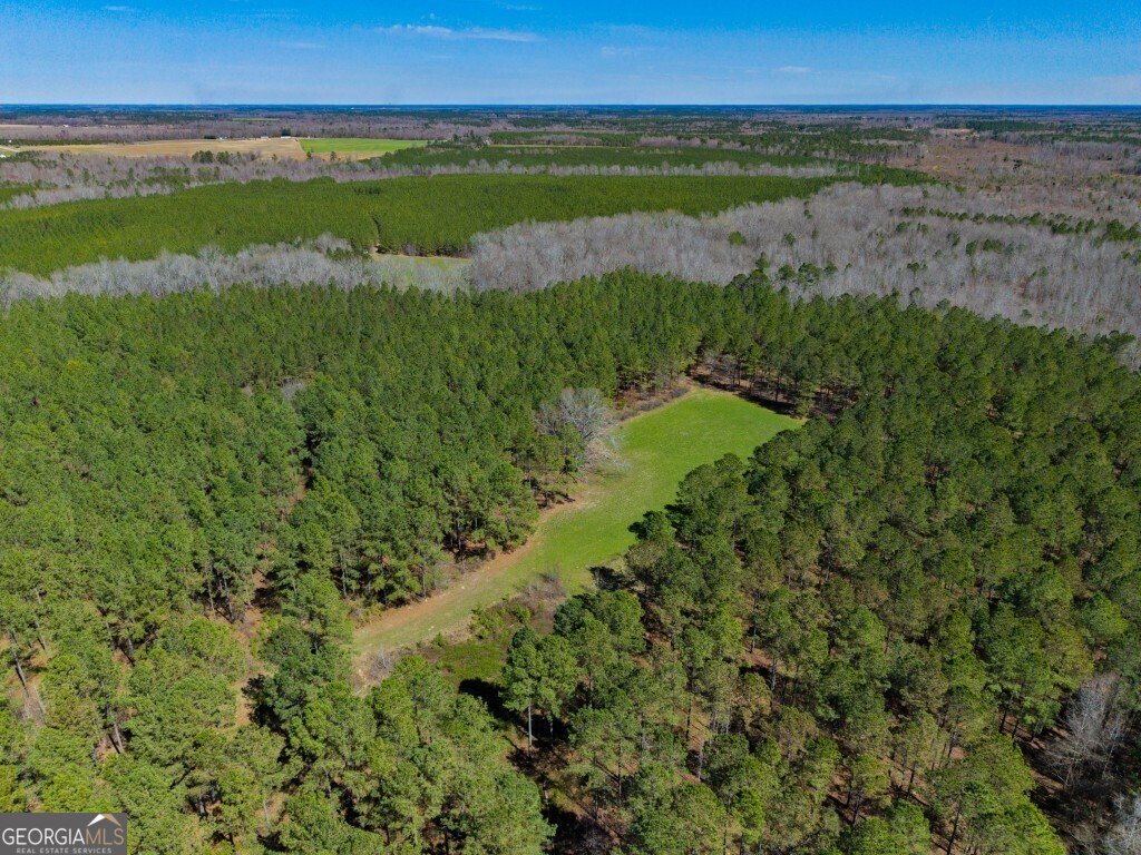 5455 Harrison Davisboro Road Davisboro - 13