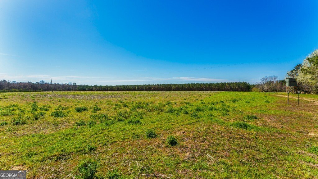 5455 Harrison Davisboro Road Davisboro - 19