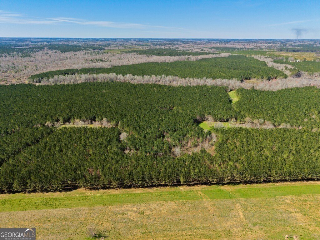 5455 Harrison Davisboro Road Davisboro - 2