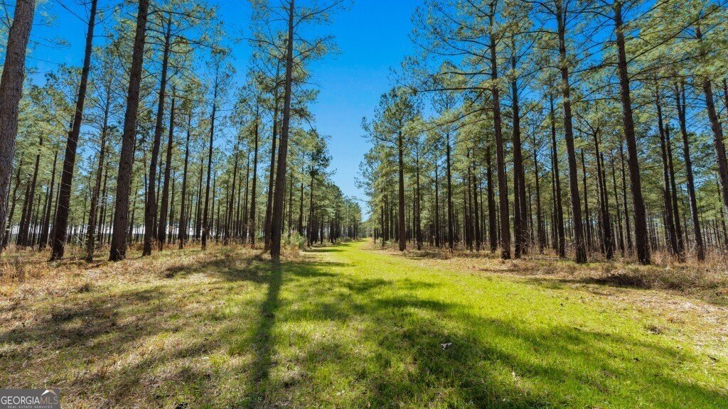 5455 Harrison Davisboro Road Davisboro - 36