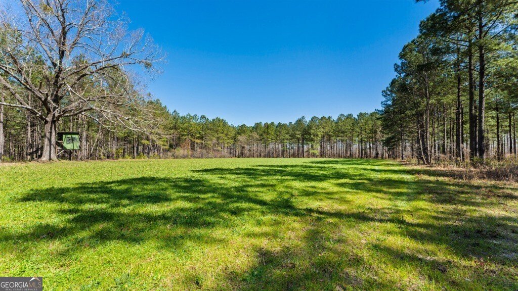 5455 Harrison Davisboro Road Davisboro - 37