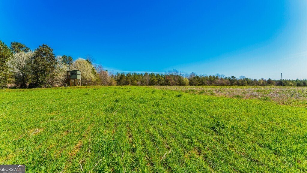 5455 Harrison Davisboro Road Davisboro - 38