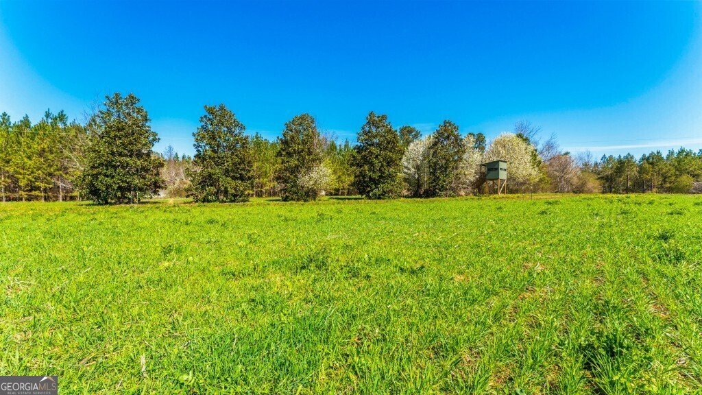 5455 Harrison Davisboro Road Davisboro - 39