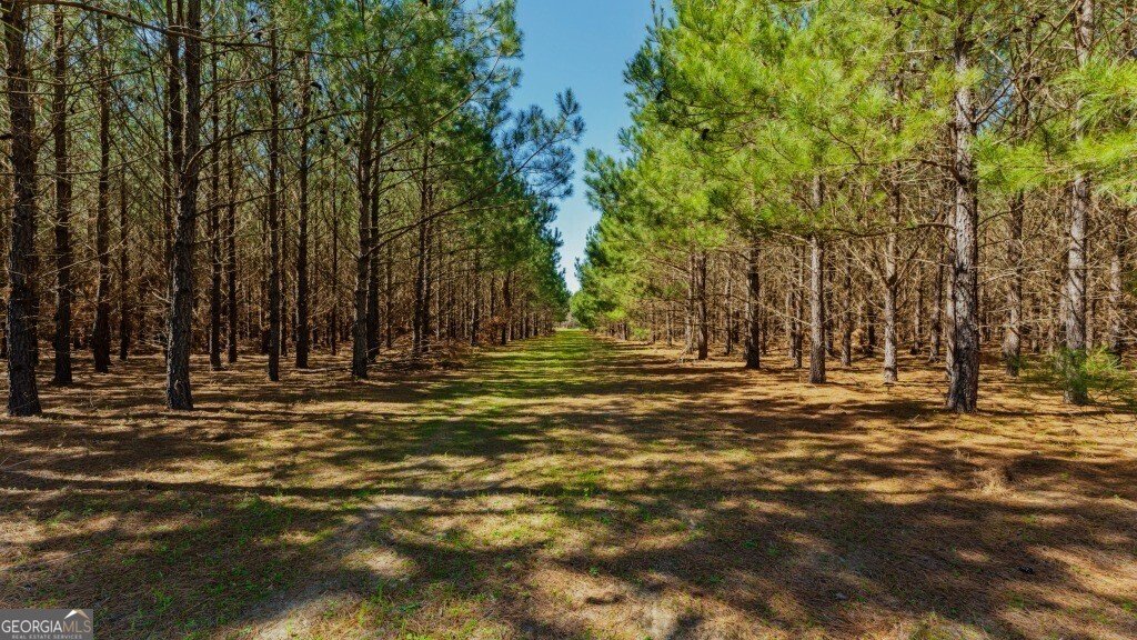 5455 Harrison Davisboro Road Davisboro - 47