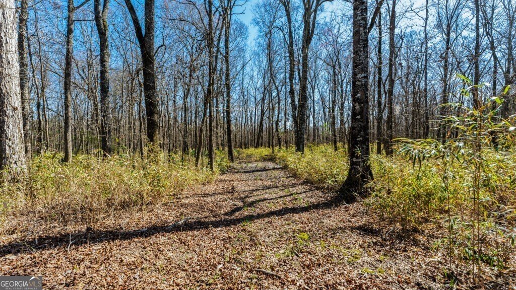 5455 Harrison Davisboro Road Davisboro - 52