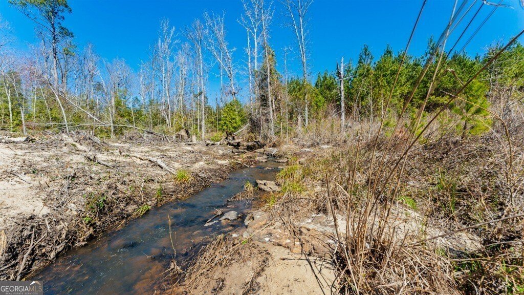 5455 Harrison Davisboro Road Davisboro - 61