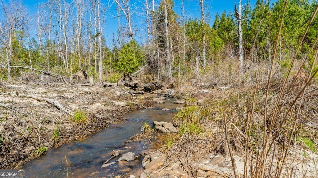 5455 Harrison Davisboro Road Davisboro - 62