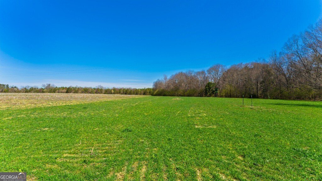5455 Harrison Davisboro Road Davisboro - 63