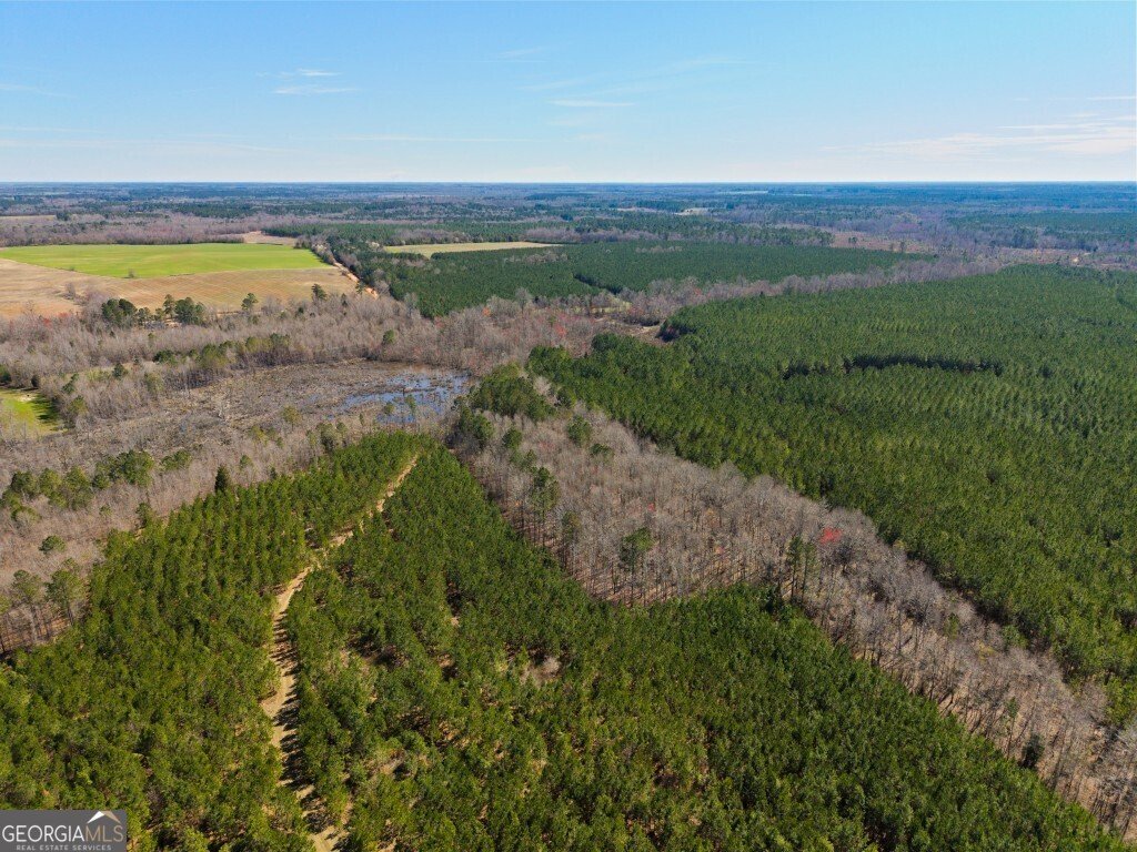 5455 Harrison Davisboro Road Davisboro - 7