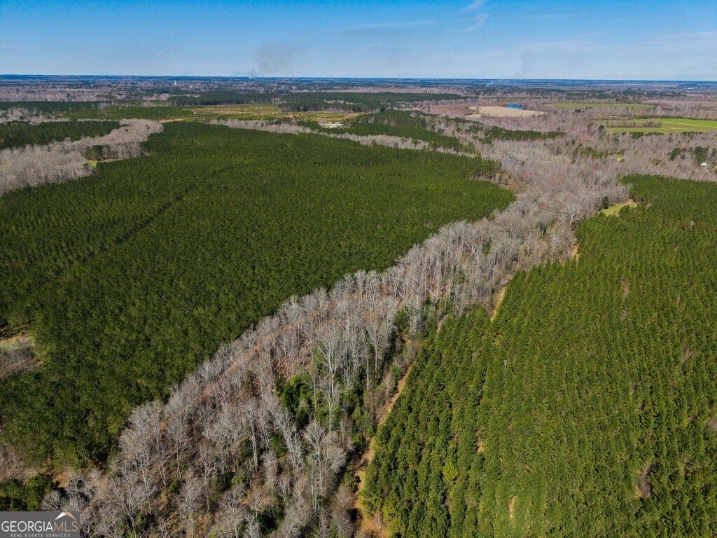 5455 Harrison Davisboro Road Davisboro - 9