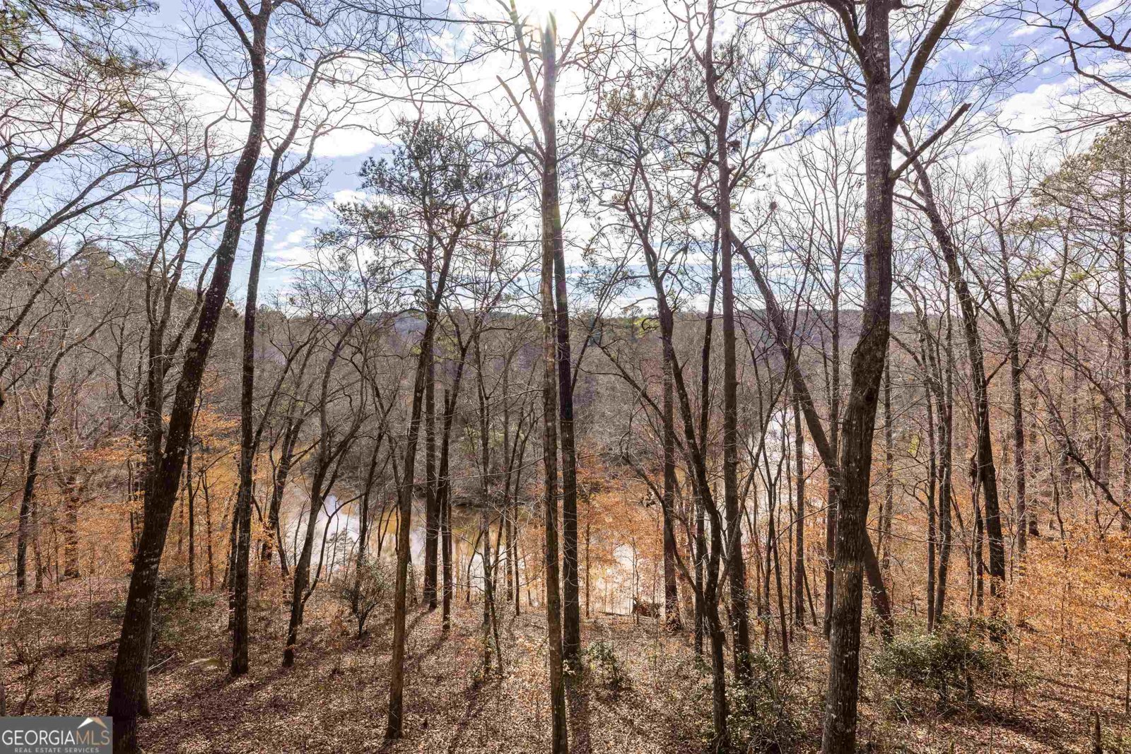 177 Antler Drive Thomaston - 86