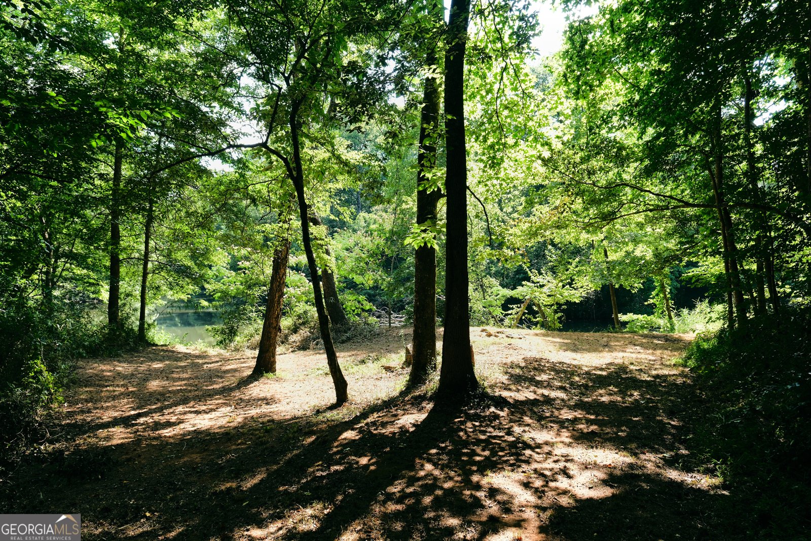 177 Antler Drive Thomaston - 99