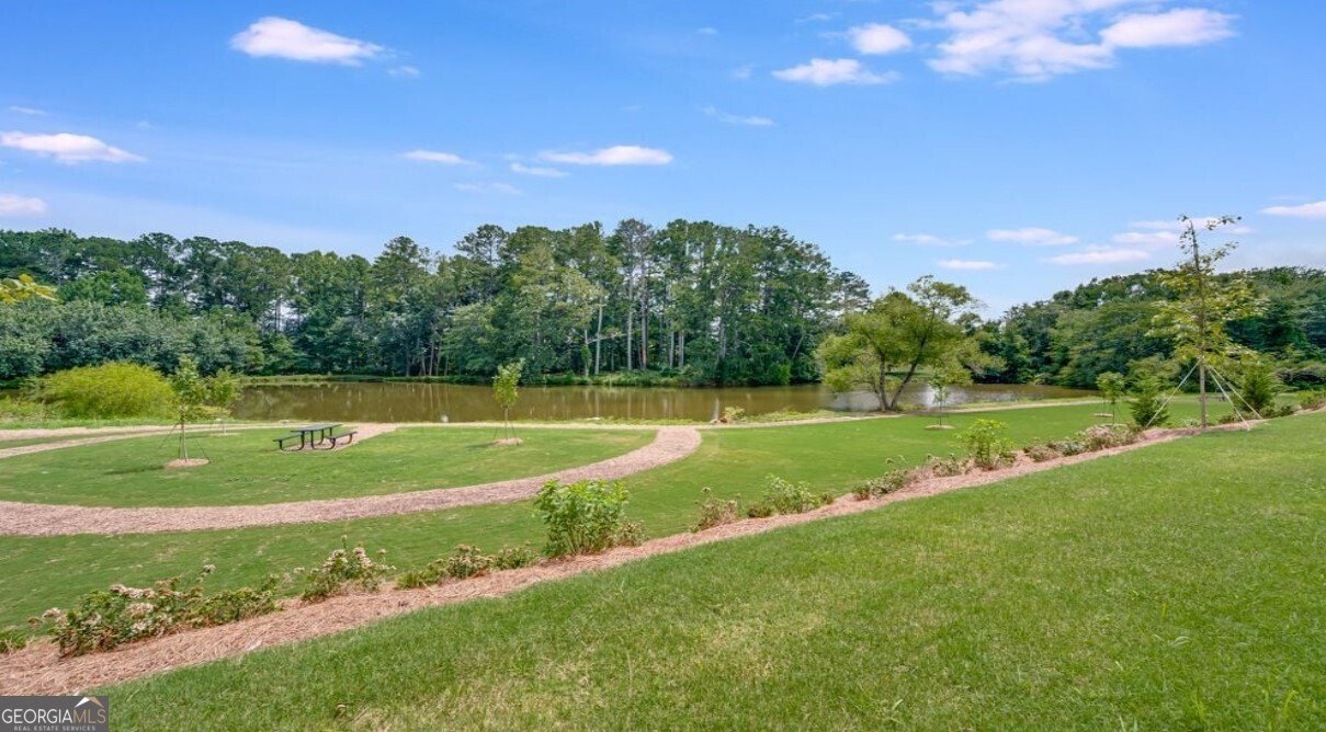 4201 Brindle Place Loganville - 36