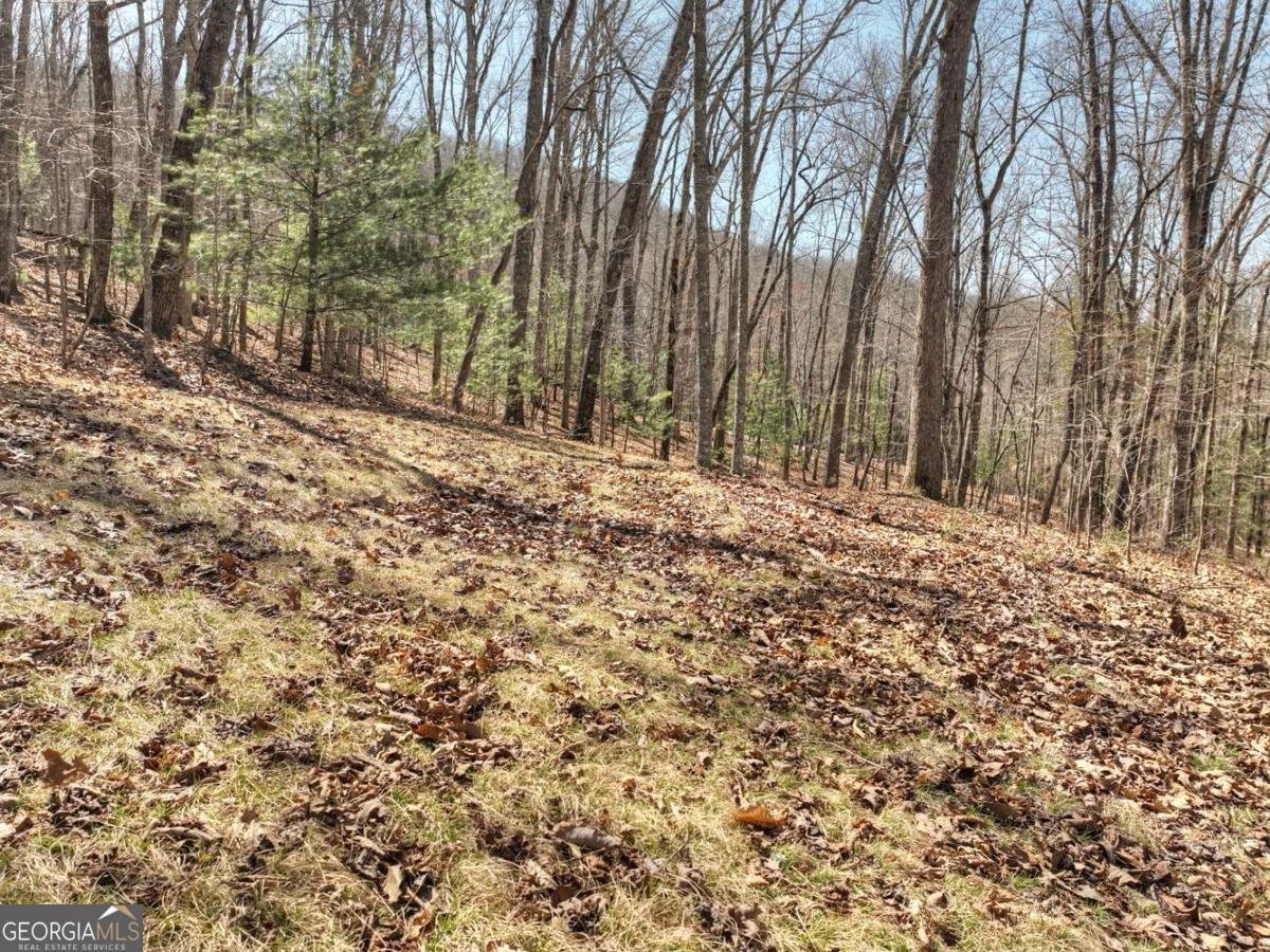 114 Jake Drive Morganton - 50