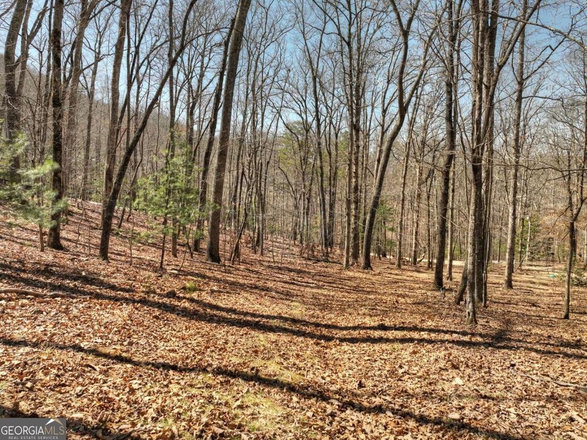 114 Jake Drive Morganton - 52