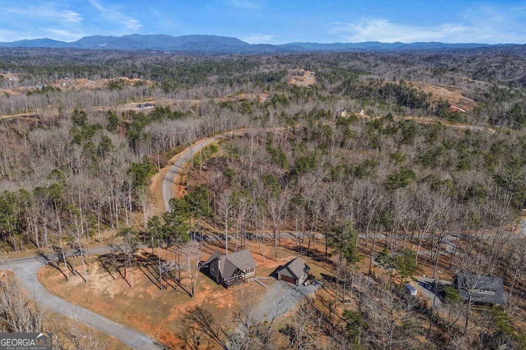 59 Sundown Trail Ellijay - 36