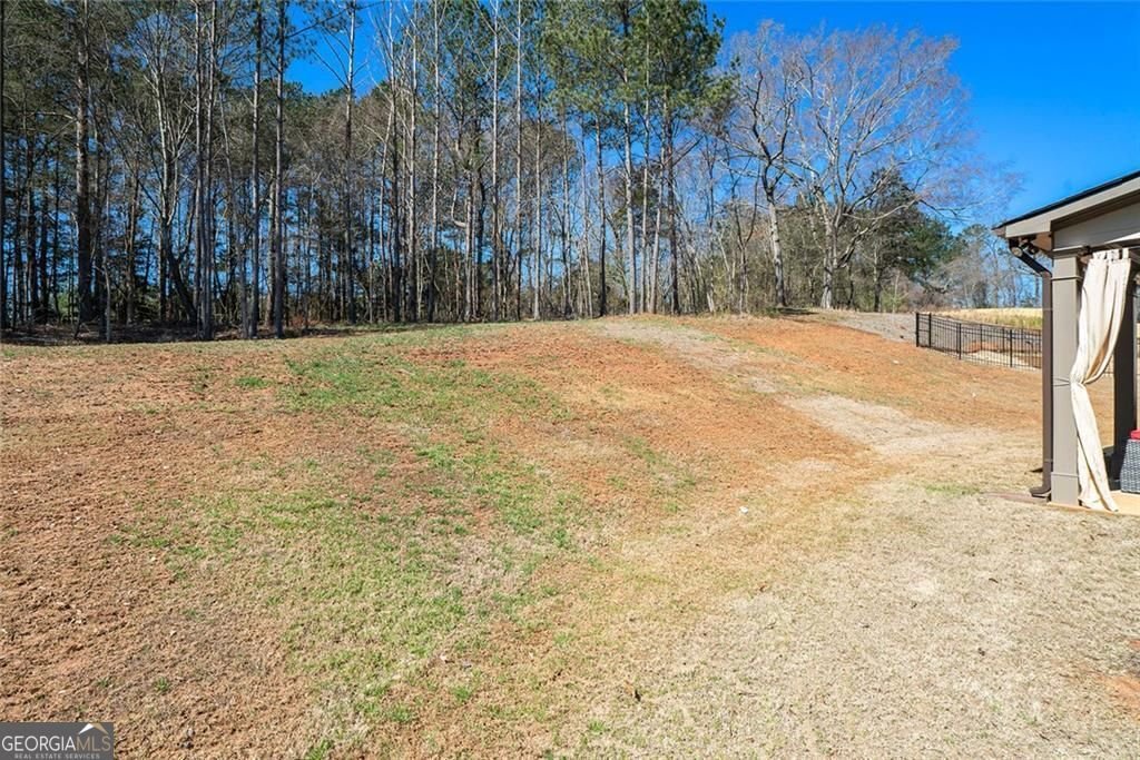 2320 Ridge View Drive Loganville - 29