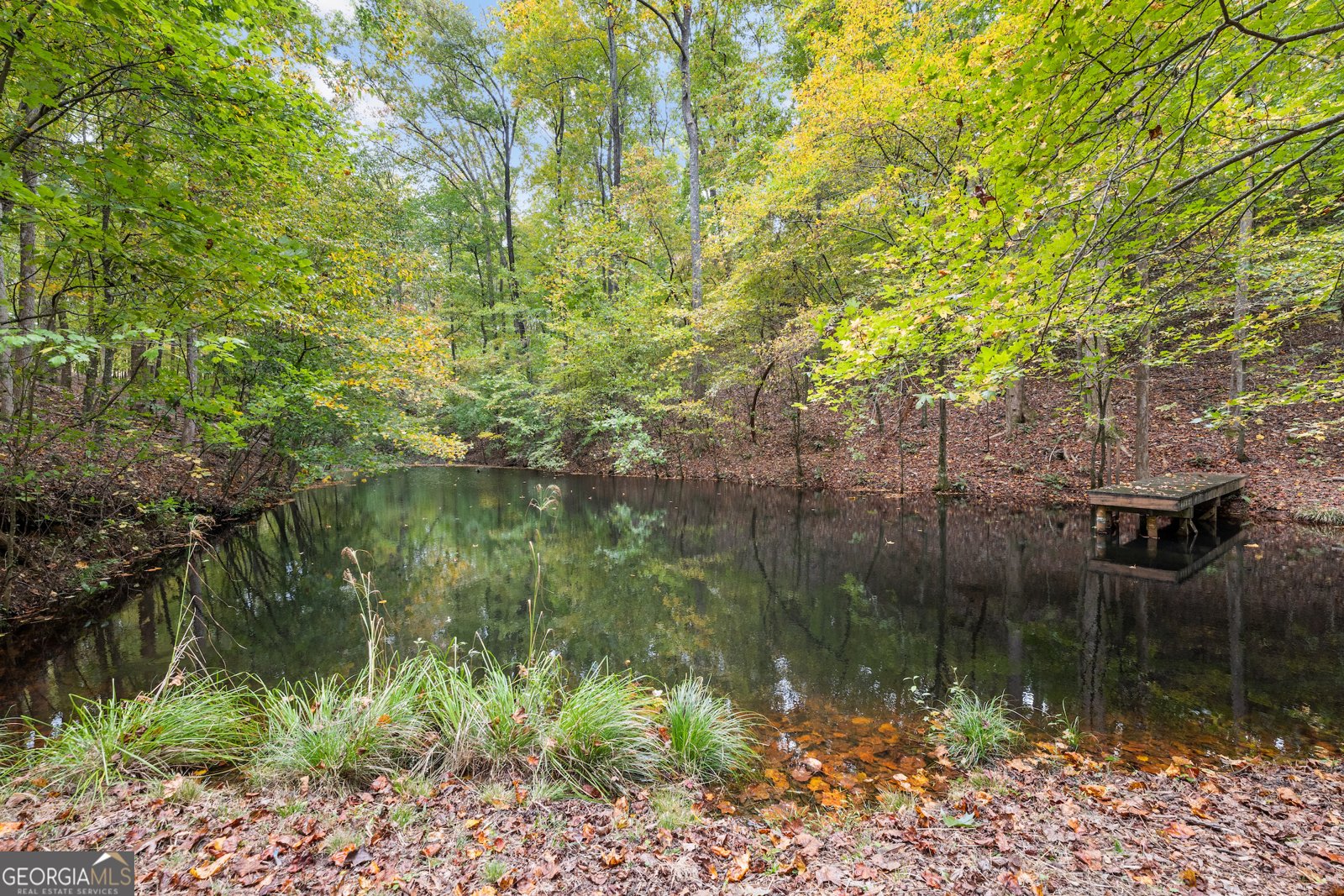 6245 Julian Road Gainesville - 48
