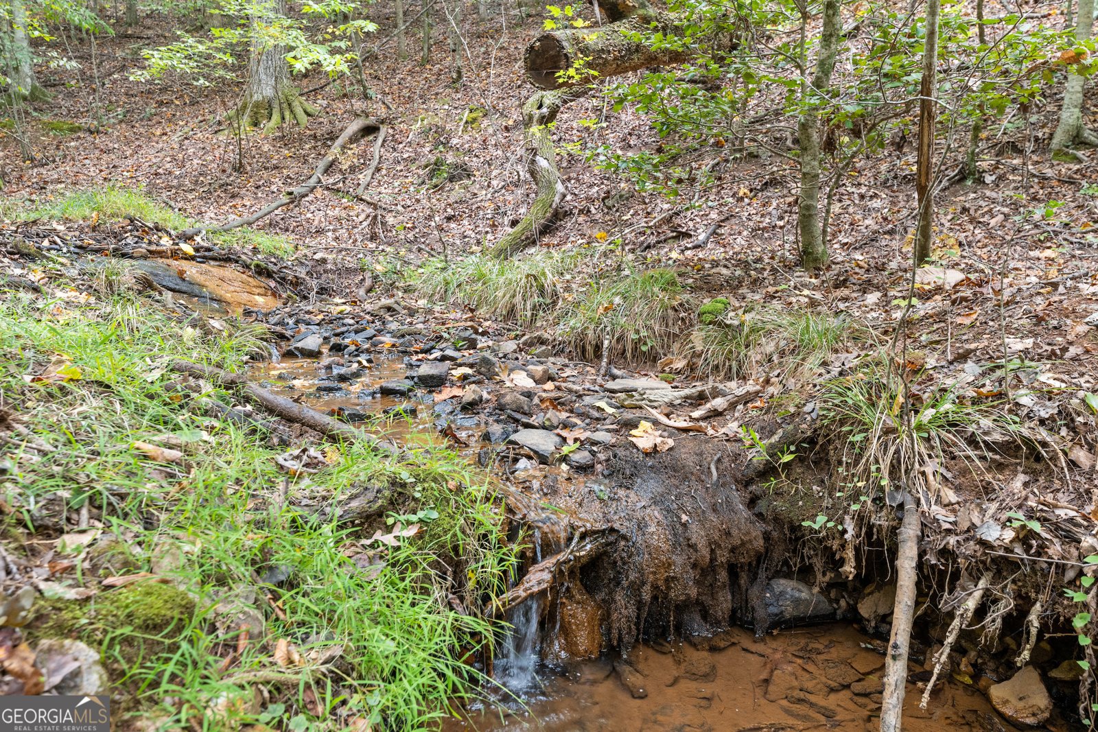 6245 Julian Road Gainesville - 54