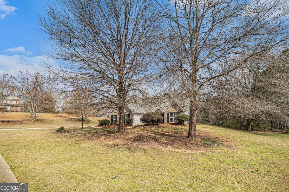 109 Melrose Creek Drive Stockbridge - 2