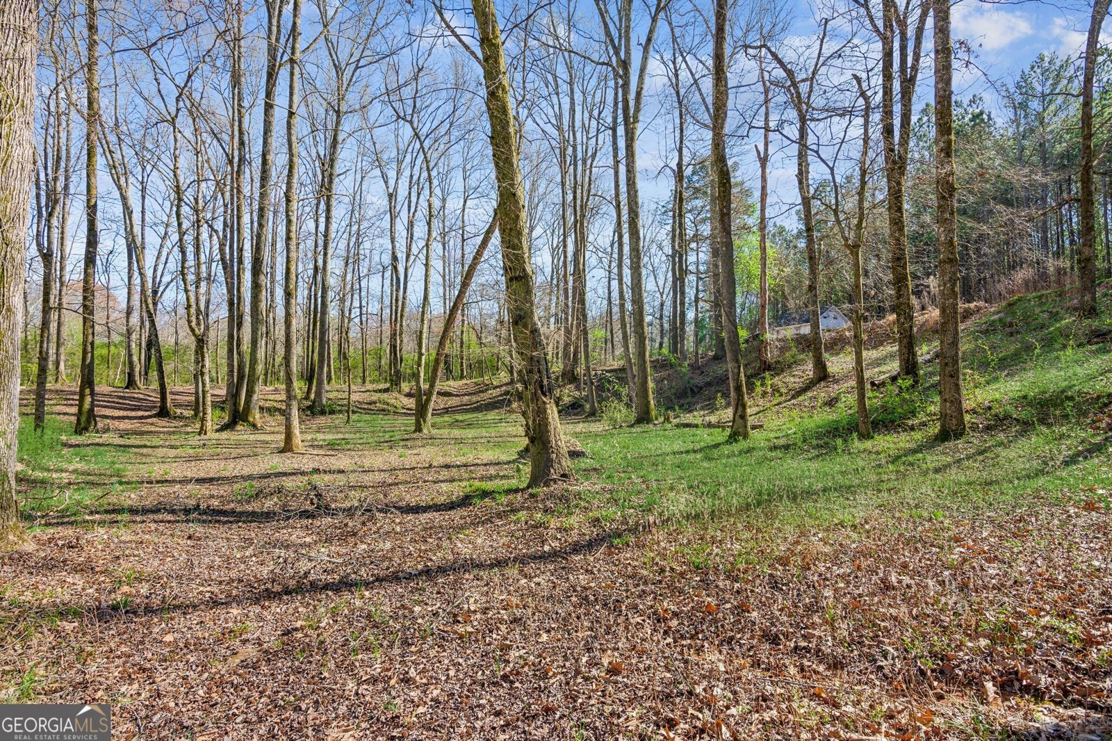 11637 Brown Bridge Road Covington - 7