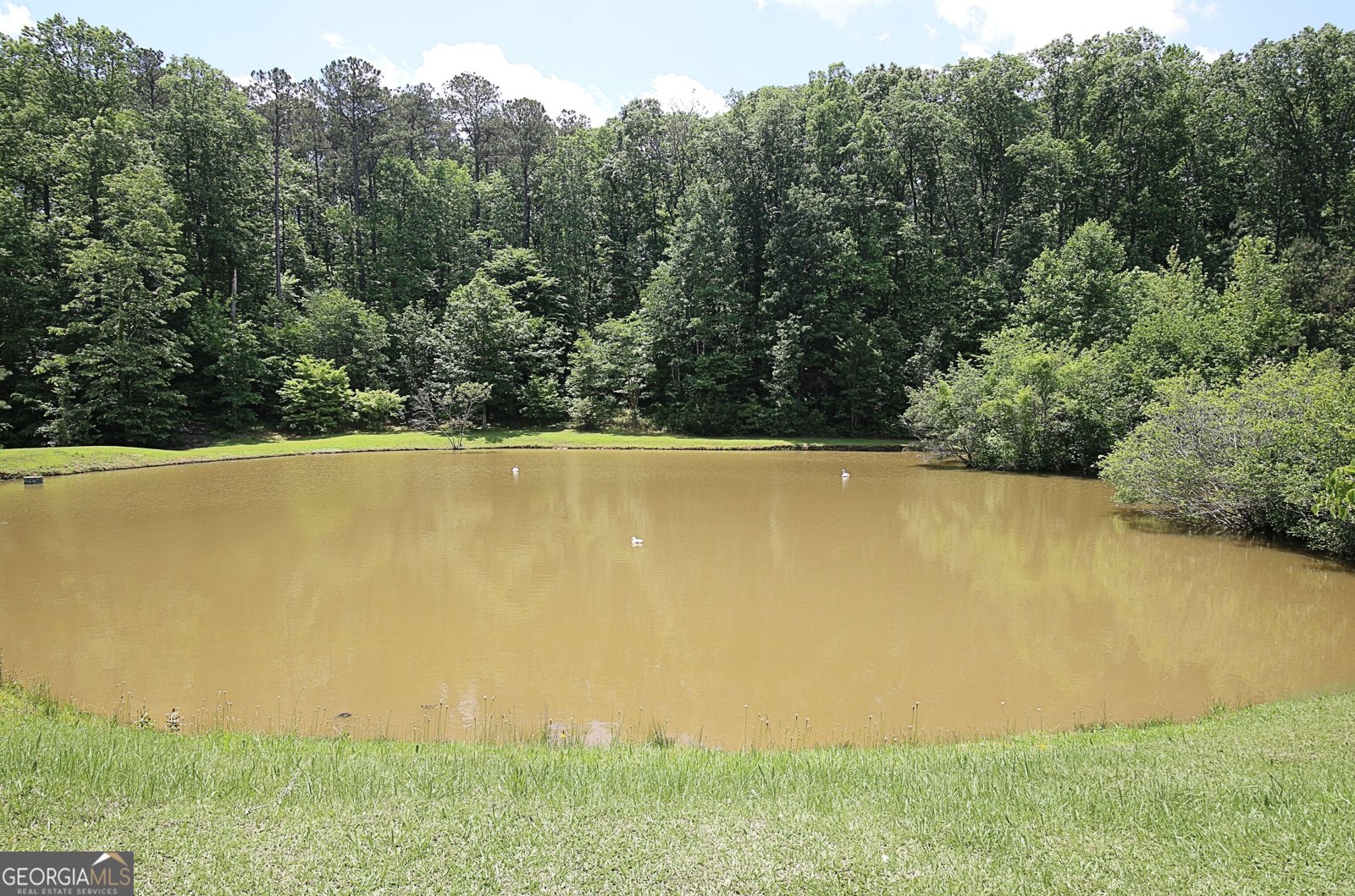 1575 Oak Mountain Road Shiloh - 69