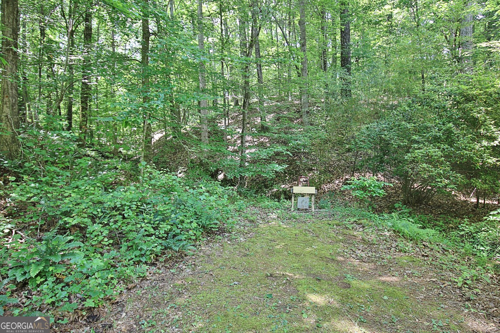 1575 Oak Mountain Road Shiloh - 74