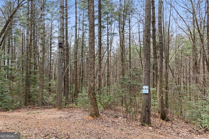 351 Creek Side Road Ellijay - 40