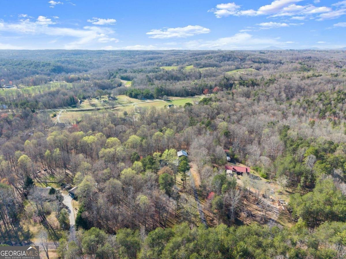 312 Ashley Brook Drive Lula - 5