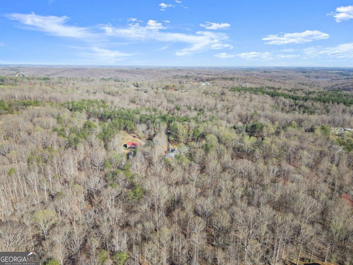 312 Ashley Brook Drive Lula - 8