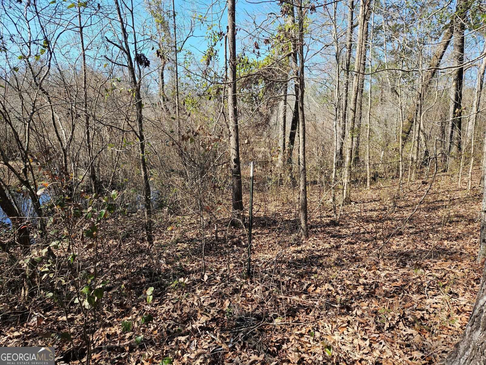 1198 Hendricks Road Fort Valley - 2