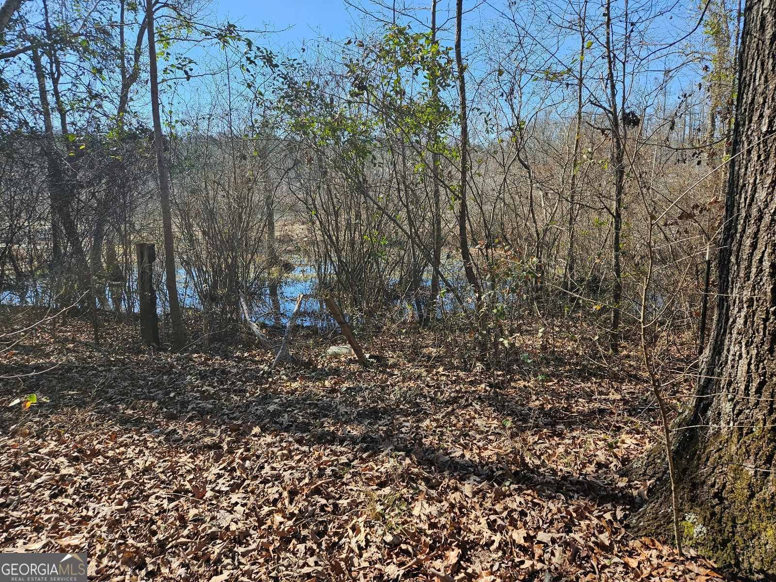 1198 Hendricks Road Fort Valley - 3