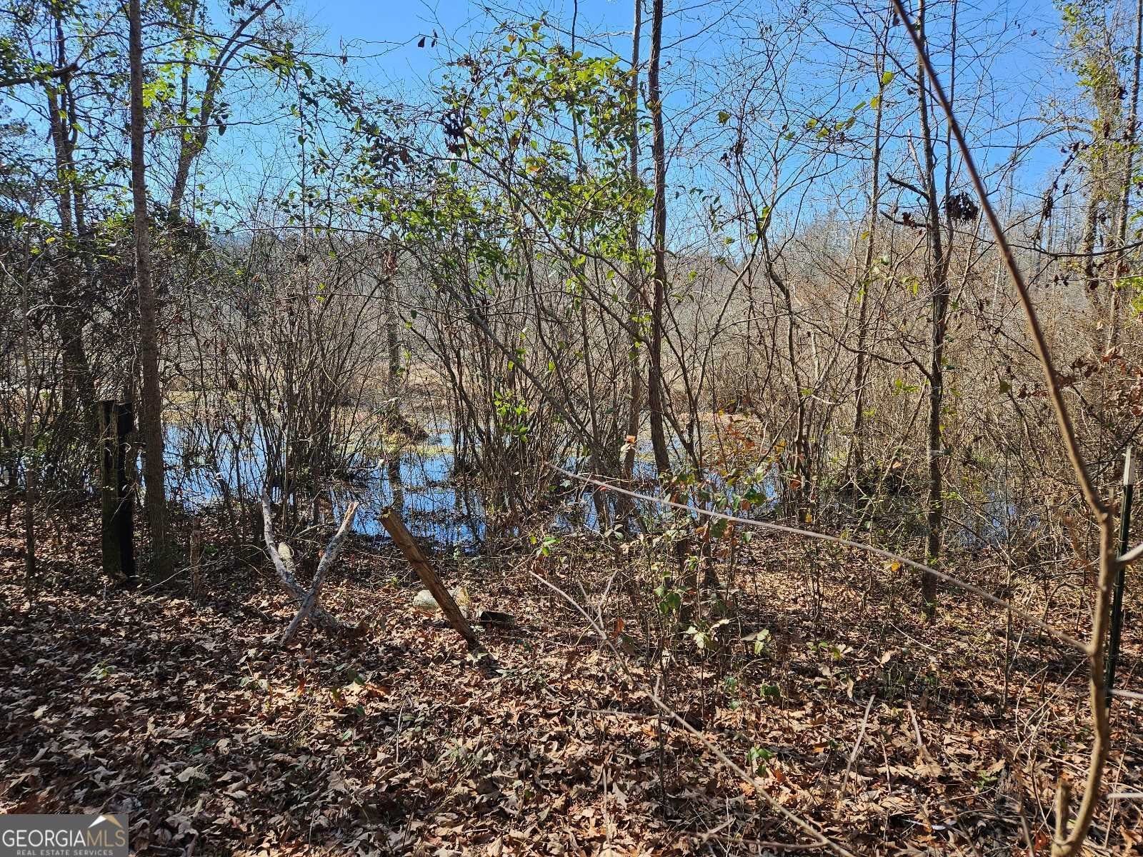 1198 Hendricks Road Fort Valley - 4