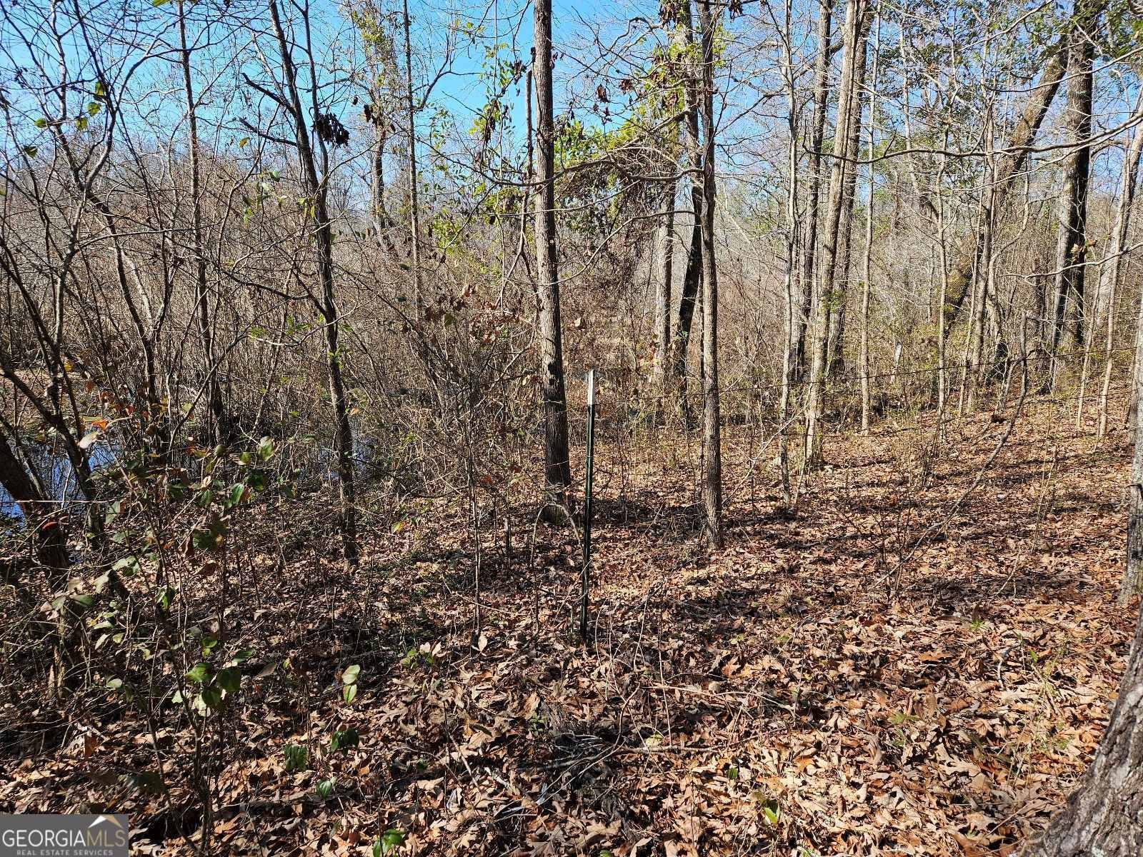 1198 Hendricks Road Fort Valley - 5