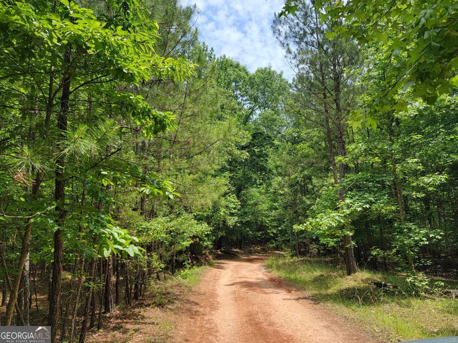1720 Campbell Road Covington - 37