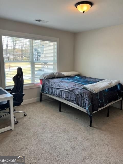 224 Crest Creek Way Villa Rica - 23
