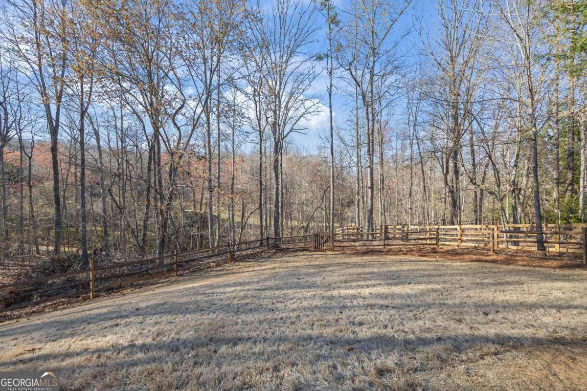 7230 Heron Lane Dawsonville - 59