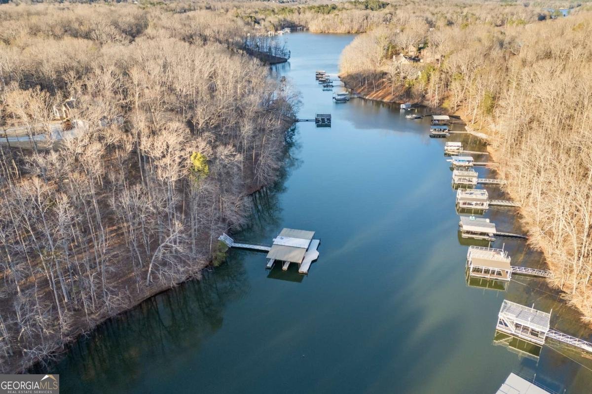 7230 Heron Lane Dawsonville - 61